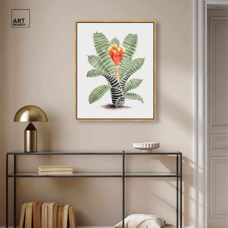 Tillandsia Musaica Plant Canvas by Art Remedy