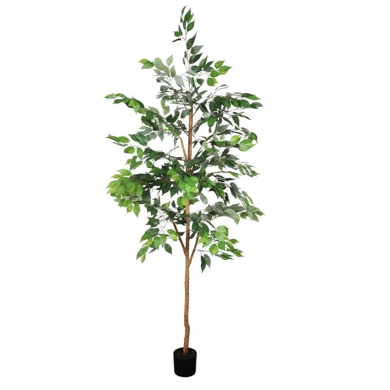 6FT Artificial Ficus Tree with Natural Trunk in Black Plastic Pot for Indoor Home Office Decor, 1pc/set