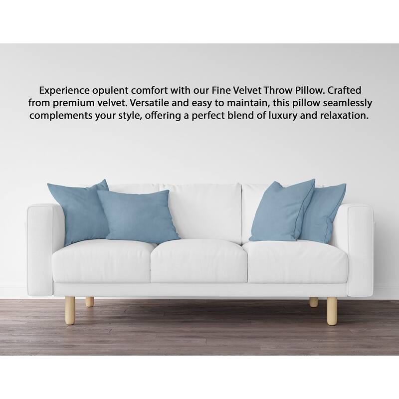 A1HC Pack of 2 Velvet Throw Pillow Covers, Hidden Zipper Closure