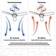 preview thumbnail 10 of 9, Westinghouse Techno II 72-Inch Indoor DC Motor Ceiling Fan with Dimmable LED Light Kit