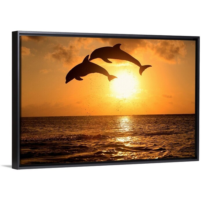 Shop Bottle Nosed Dolphins Leaping In Front Of A Sunset Black