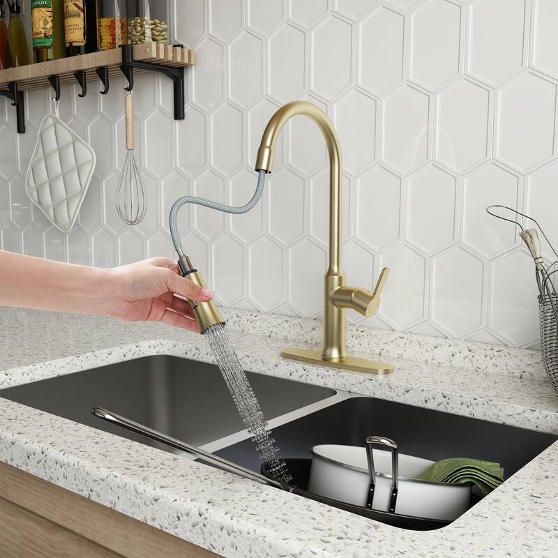 Kitchen Faucet Single-Handle Pull-Out Sprayer Kitchen Sink Faucet