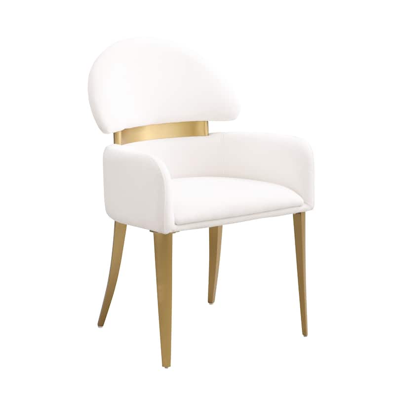Furniture of America Luvien Modern Padded Fabric Dining Chairs (Set of 2)