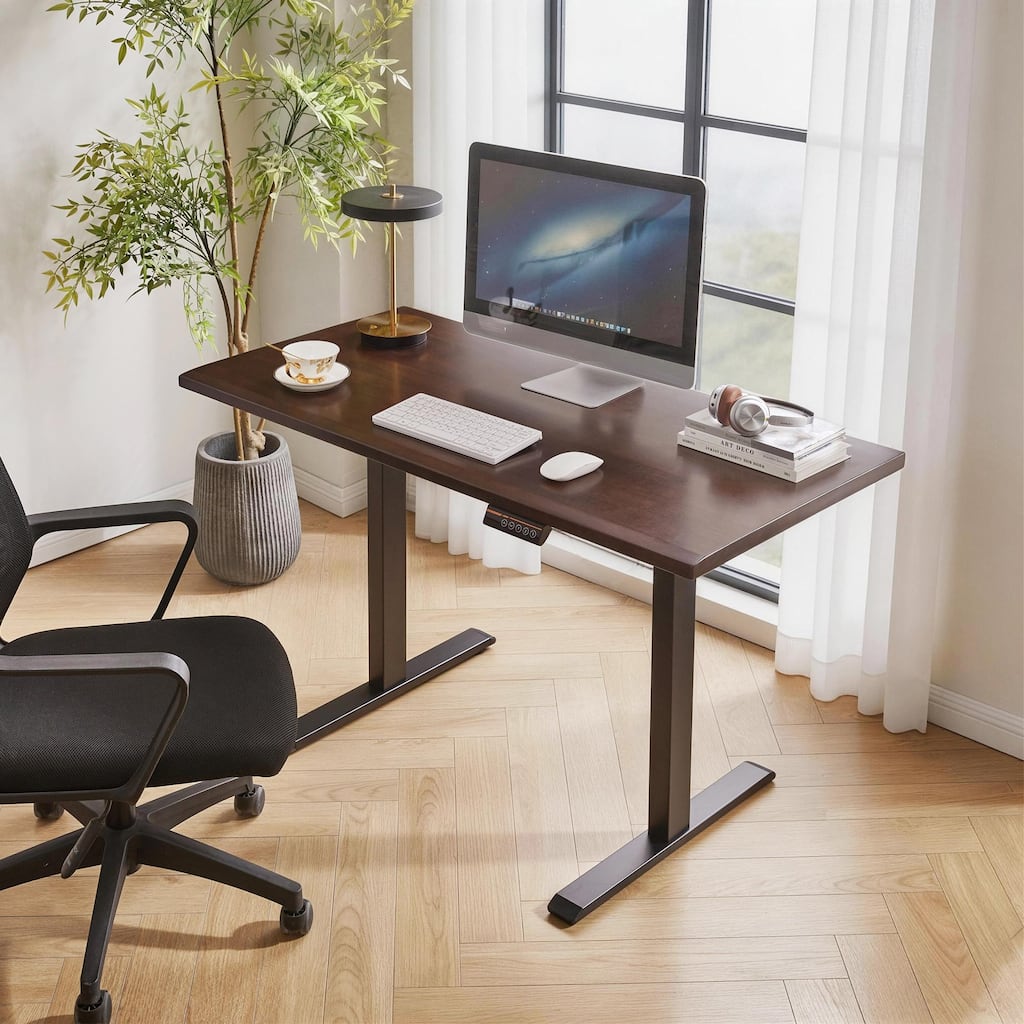 Solid Rubberwood Electric Standing Desk, Adjustable Height Sit Stand Desk with Single Motor, Office Desk with 2-Tier Legs