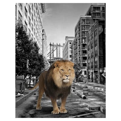 Urban Jungle I by Belle Maison Canvas Art Print