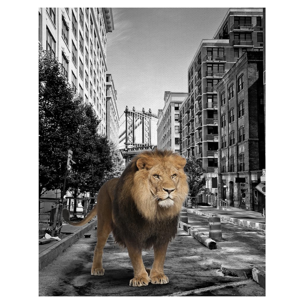 Urban Jungle I by Belle Maison Canvas Art Print