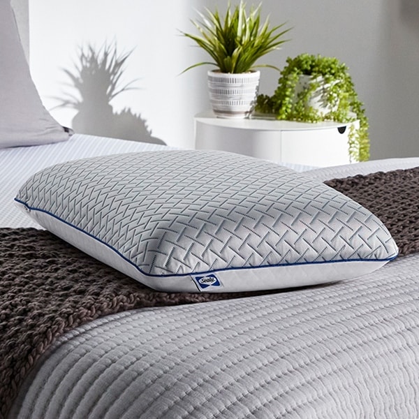 Sealy Essentials Cool Touch Memory Foam Pillow Set of 2