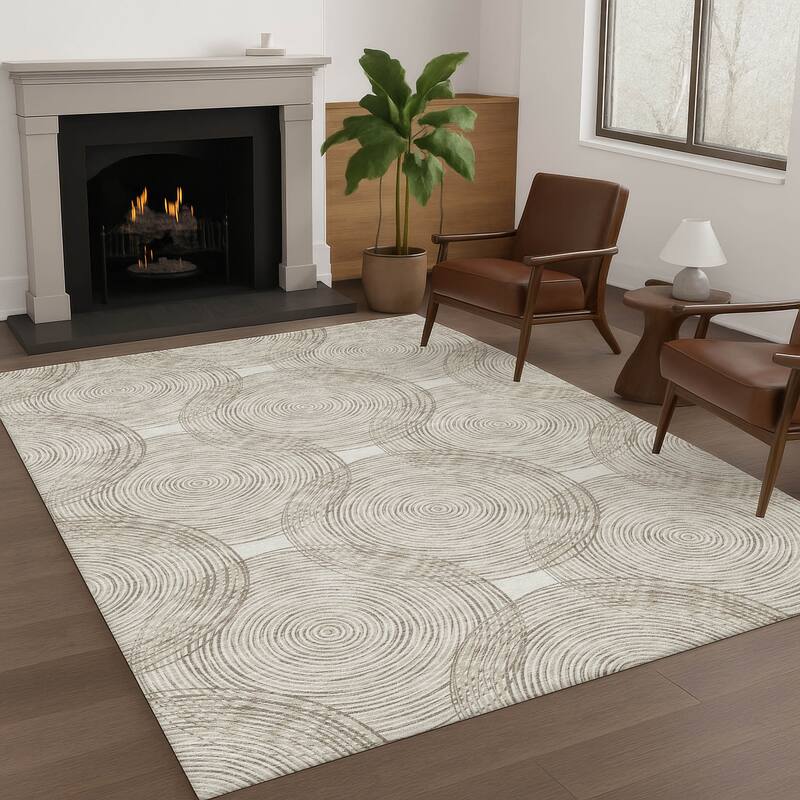 Machine Washable Indoor/ Outdoor Modern Pune Chantille Rug