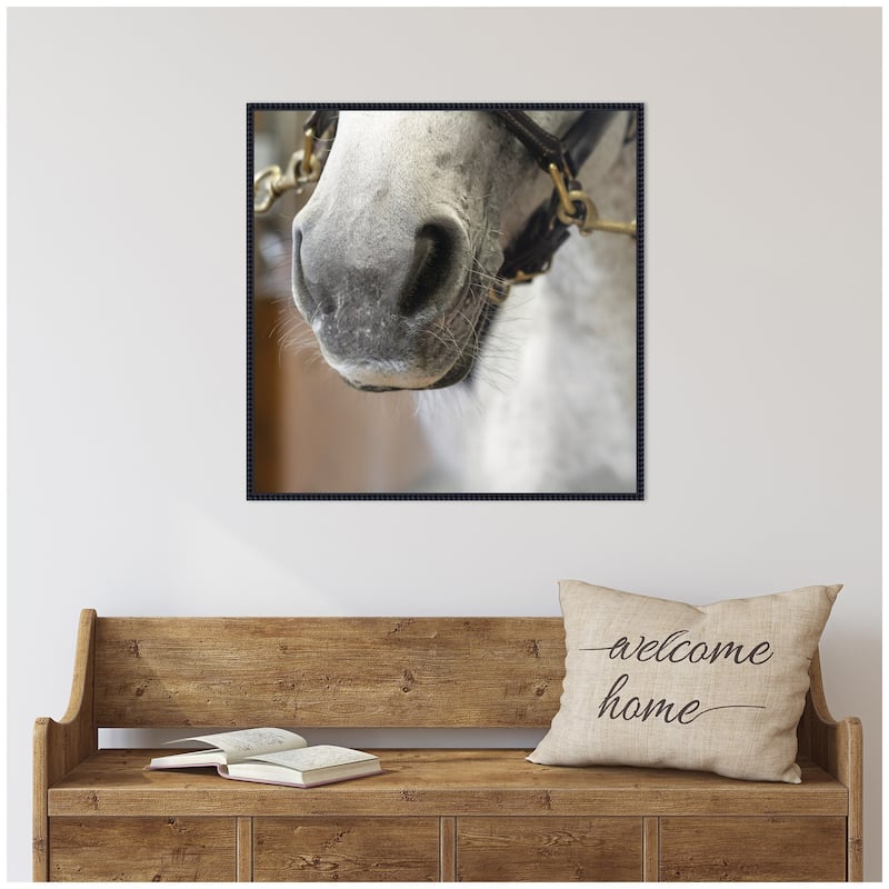 Kate and Laurel Barn Day Horse by Emiko and Mark Franzen F2 Images Framed Canvas Wall Art Print
