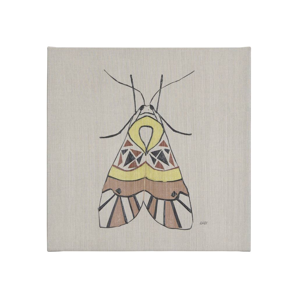 Moth II (20 x 20 ) Canvas Art Print