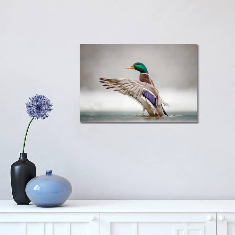 iCanvas "Male Mallard" by Mateusz Piesiak Canvas Print - 12x18x1.5