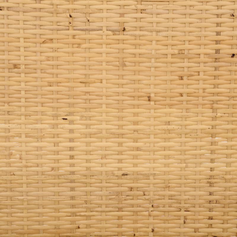 SAFAVIEH Home Serafima Rattan Arm Chair (Set of 2) - 22"W x 22"D x 33"H