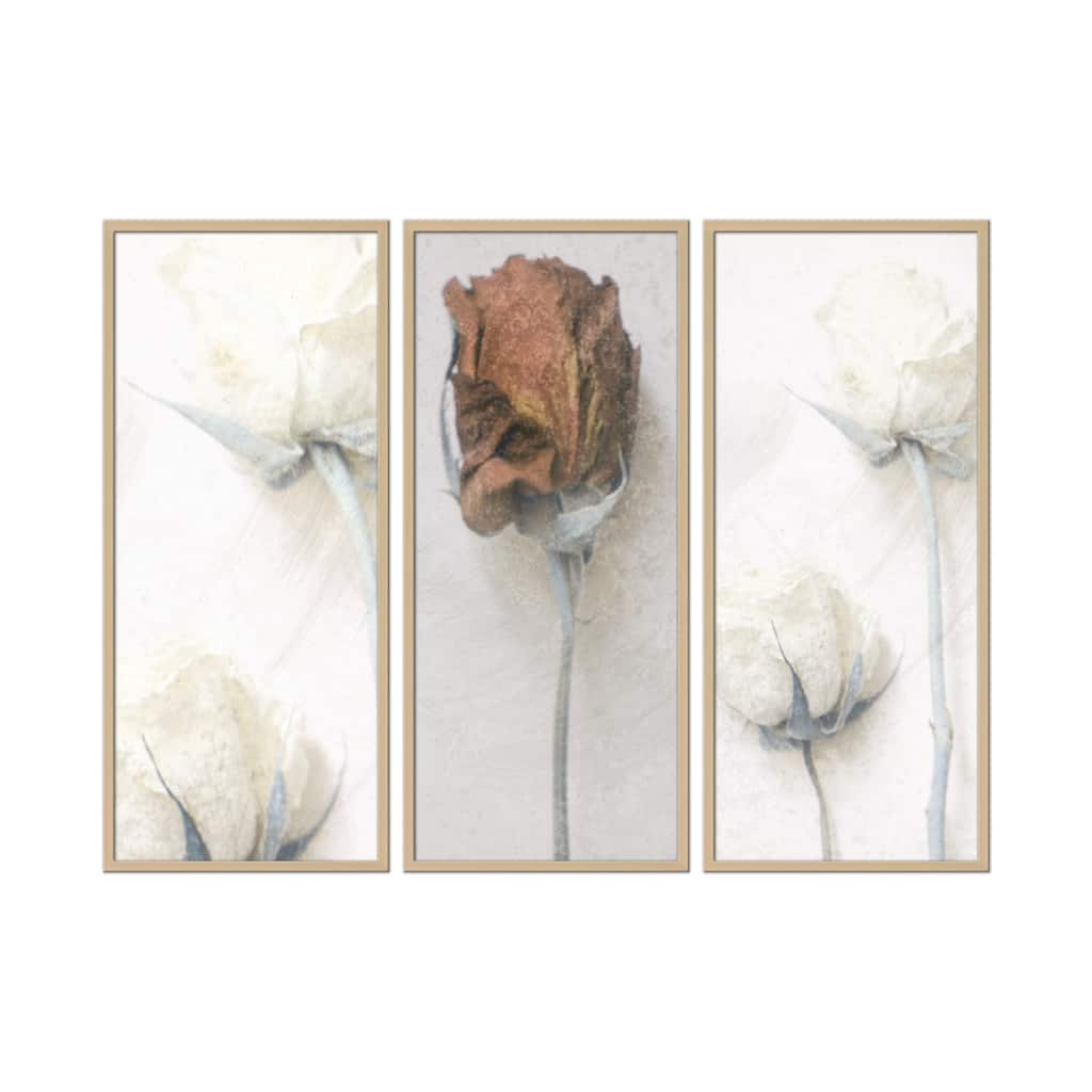 "Memories of Modest Emotion" Framed 3-Piece Wall Art Set by Delphine Devos