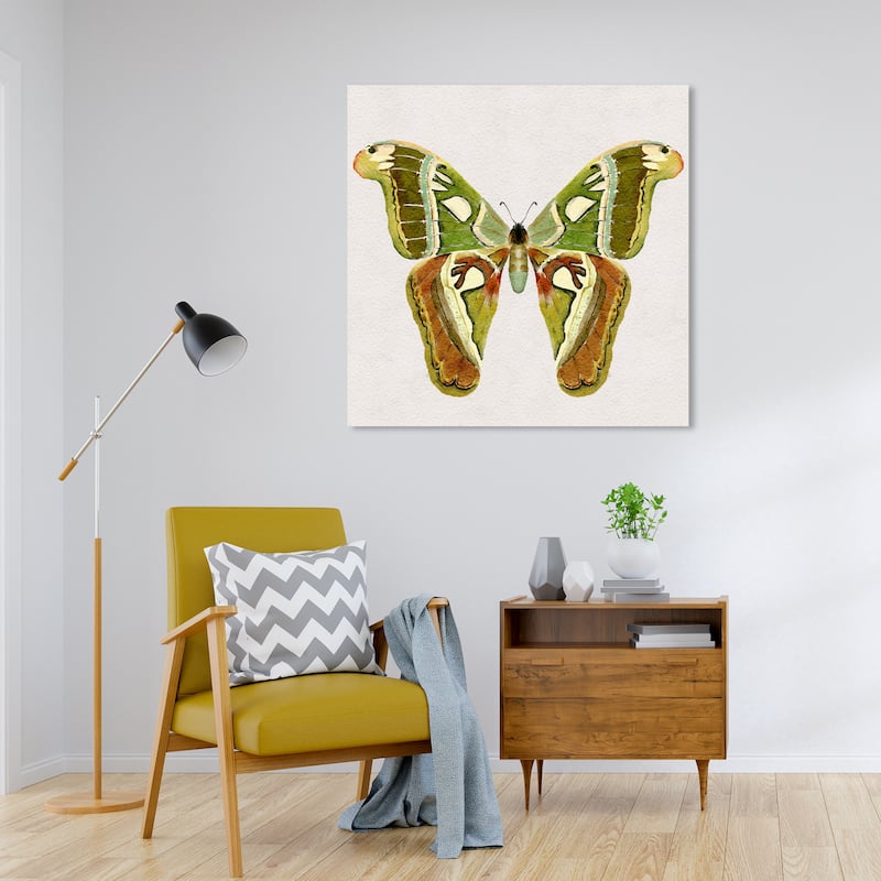 Wynwood Studio Canvas Animals Nature Camo Butterfly Green and Tropical Wall Art Canvas Print - Green, Brown - 30 x 30