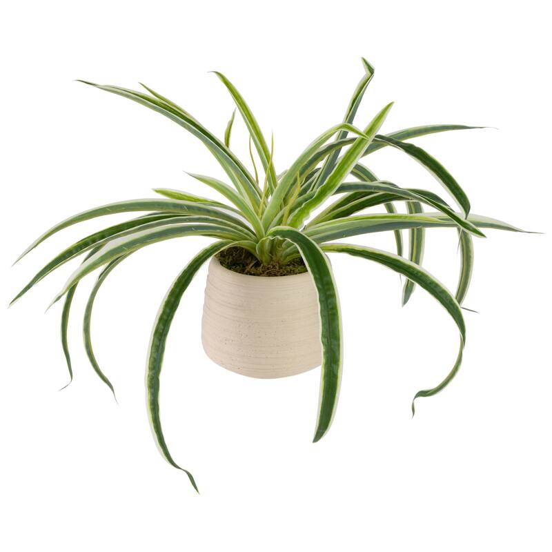 Artificial Spider Plant in Beige Ceramic Pot - 20"