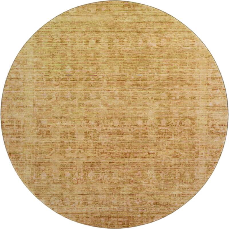 Premium Washable Super Soft Vintage Traditional Mayfield Rug