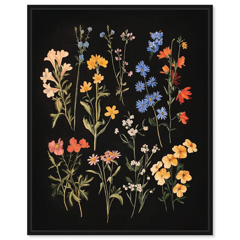 Darkling Daisies II Canvas by Art Remedy - 24" x 30" - Black