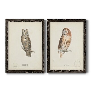 Scops- Eared Owl Premium Framed Canvas - Ready to Hang - Multi-Color ...