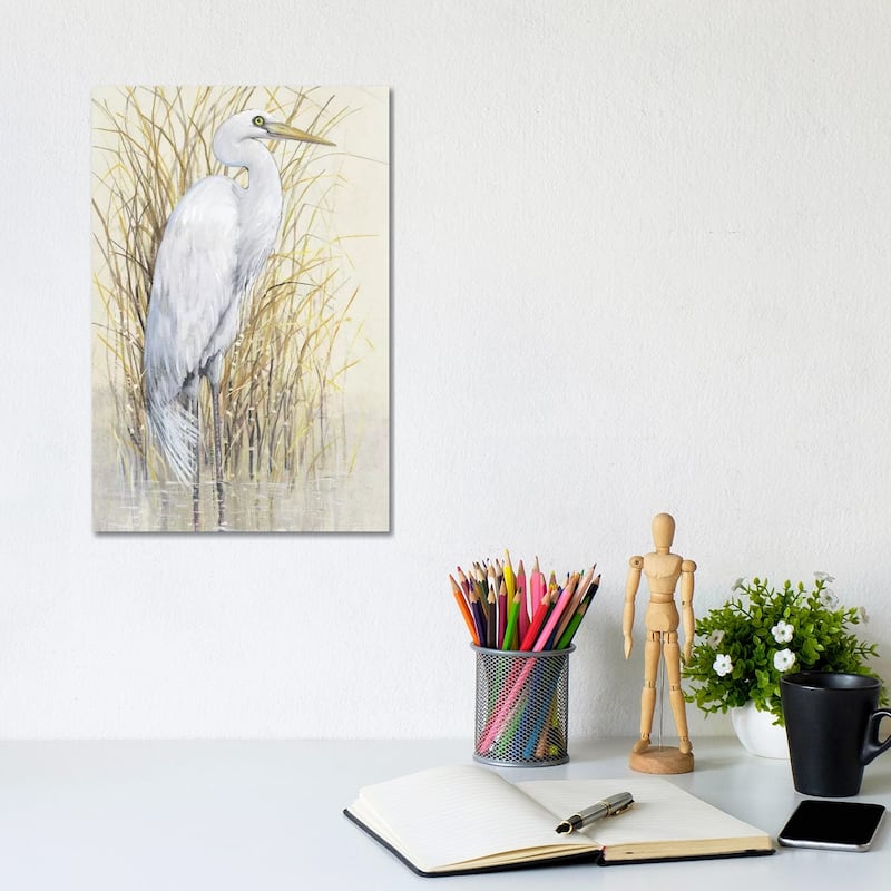 iCanvas "Wading I" by Tim OToole Canvas Print - 12x8x0.75