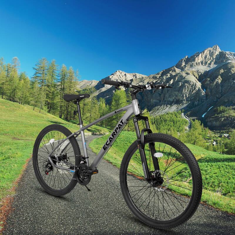 Road Bikes Mountain Bike Outdoor Bikes Sports Bikes Unisex Bikes - Grey