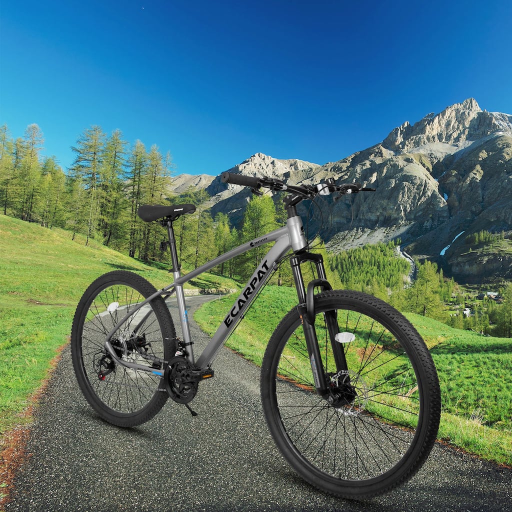 Road Bikes Mountain Bike Outdoor Bikes Sports Bikes Unisex Bikes