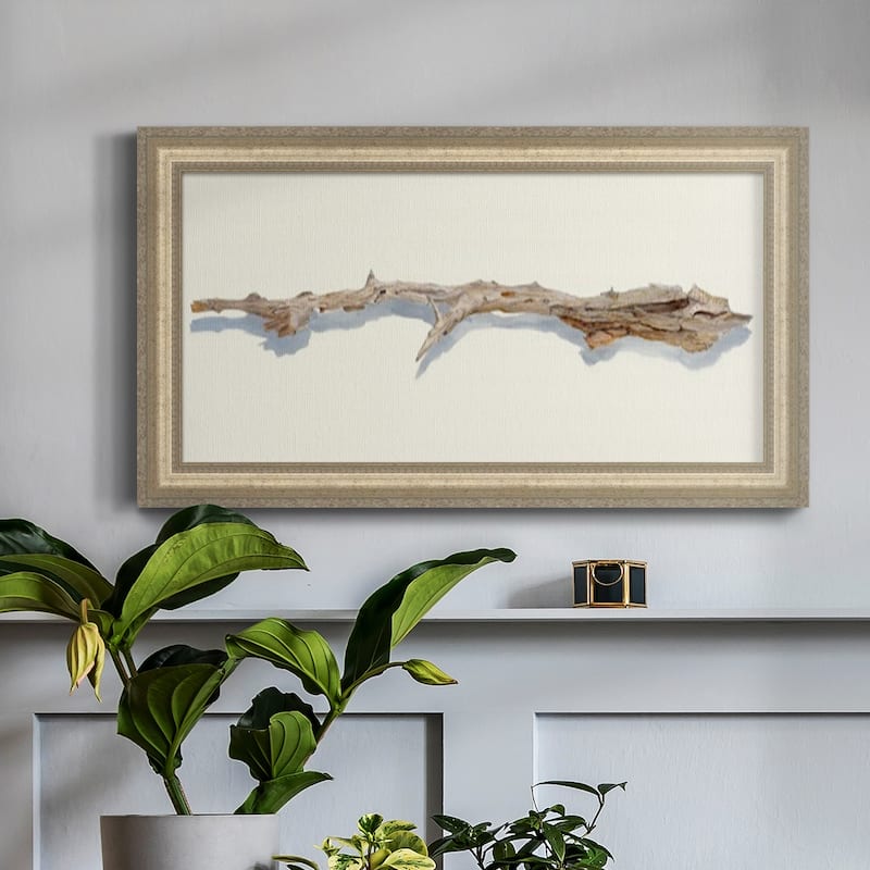 Driftwood Study I Premium Framed Canvas- Ready to Hang