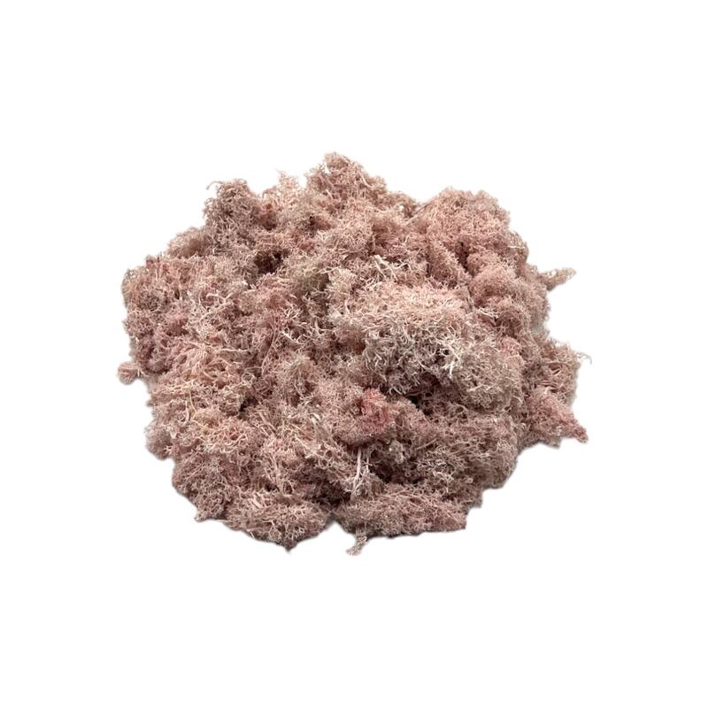 Preserved Reindeer Moss in Multiple Colors