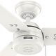 preview thumbnail 91 of 96, Hunter Cassius Outdoor Ceiling Fan, Damp Rated - Industrial, Farmhouse, Contemporary