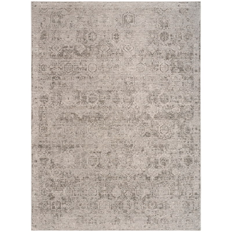 DKNY Pure Shades Indoor only Persian Vintage Area Rug