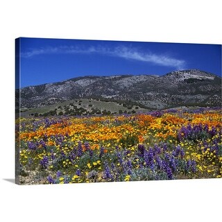 Shop Poppy Field In Bloom Distant Mountains California Canvas Wall Art Overstock 16885428