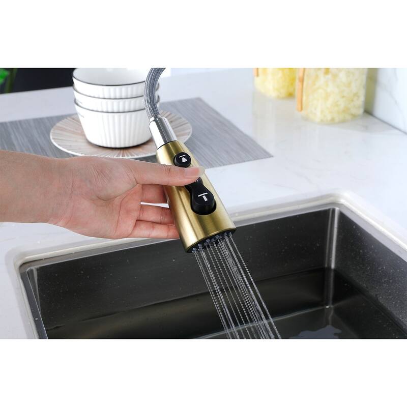 Modern Stainless Steel Kitchen Faucetswith Pull Down Sprayer
