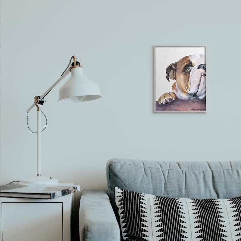 Stupell Curious English Bulldog Gaze Pet Dog Portrait Framed Wall Art