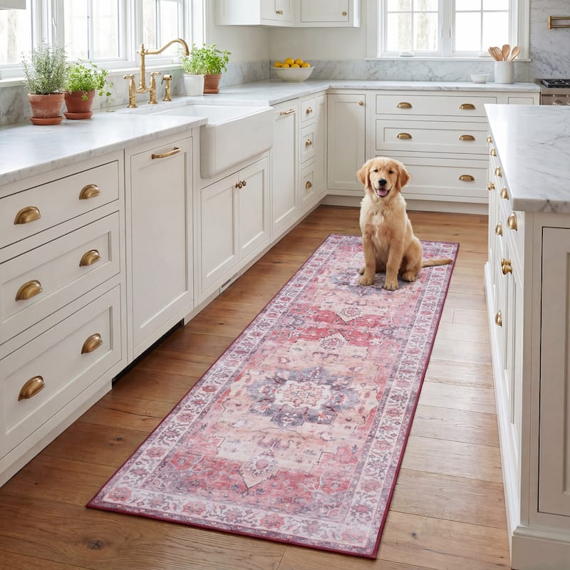 SAFAVIEH Tucson Machine Washable Slip Resistant Celina Traditional Rug