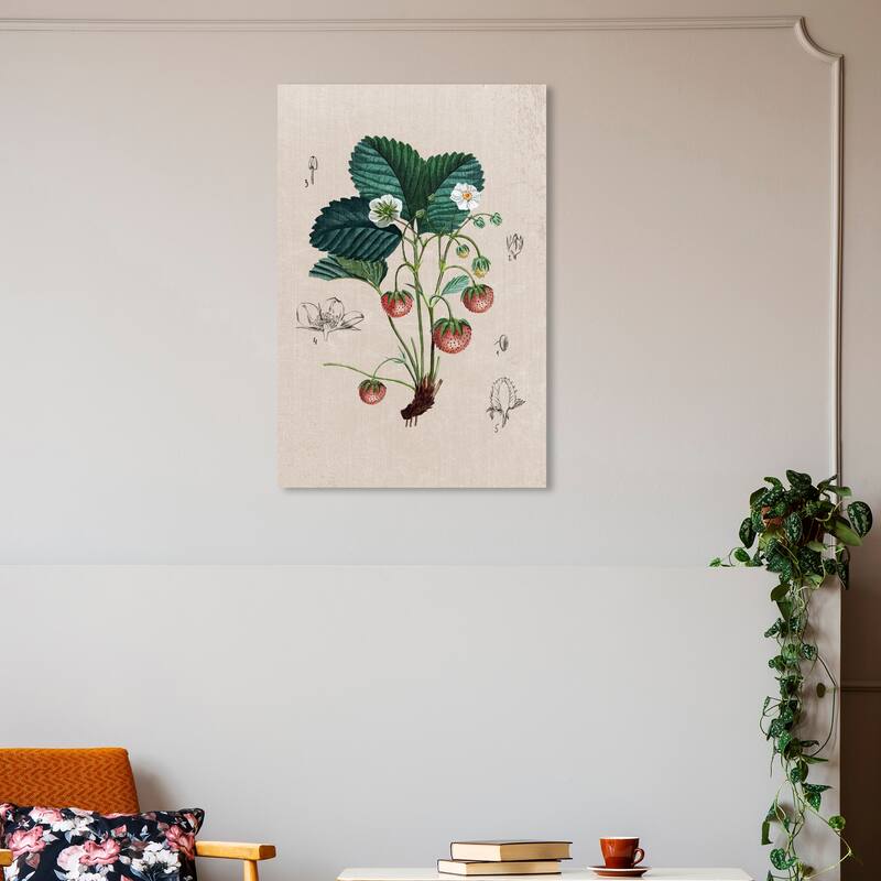 Wynwood Studio Canvas Floral and Botanical Floral Diagram II White and Traditional Wall Art Canvas Print - 30 x 20