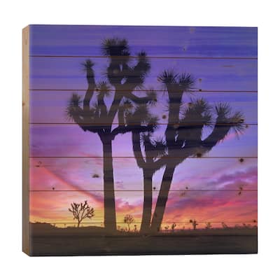 Joshua Tree Group At Sunrise Near Quail Springs, Joshua Tree National Park, California Print On Wood by Tim Fitzharris