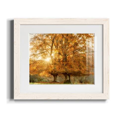 Couple of Beeches-Premium Framed Print - Ready to Hang