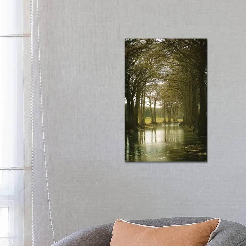 iCanvas "Texas Hill Country" by Ann Hudec Canvas Print - 26x18x1.5