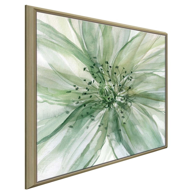 "Macro Sage Flower II" by Carol Robinson Print on Floating Canvas
