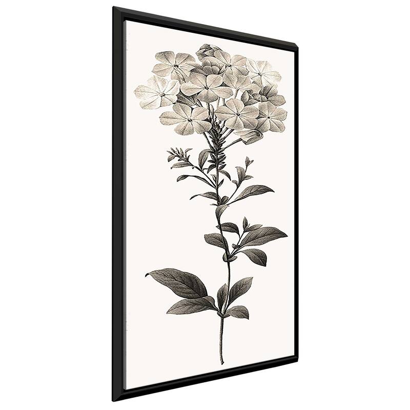 "Slender Leadwort" Print on Floating Canvas