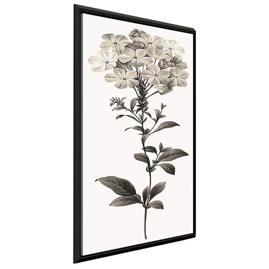 "Slender Leadwort" Print on Floating Canvas