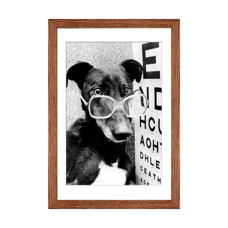 iCanvas "Greyhound Wearing Glasses February 1987" by Rue Des Archives - Walnut - 24x16x1