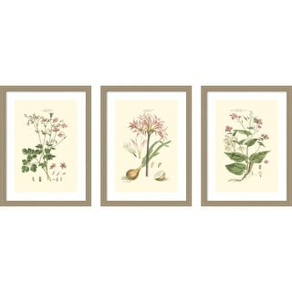 Small Blushing Pink Florals 3 Piece by John Miller Framed Wall Art Prints