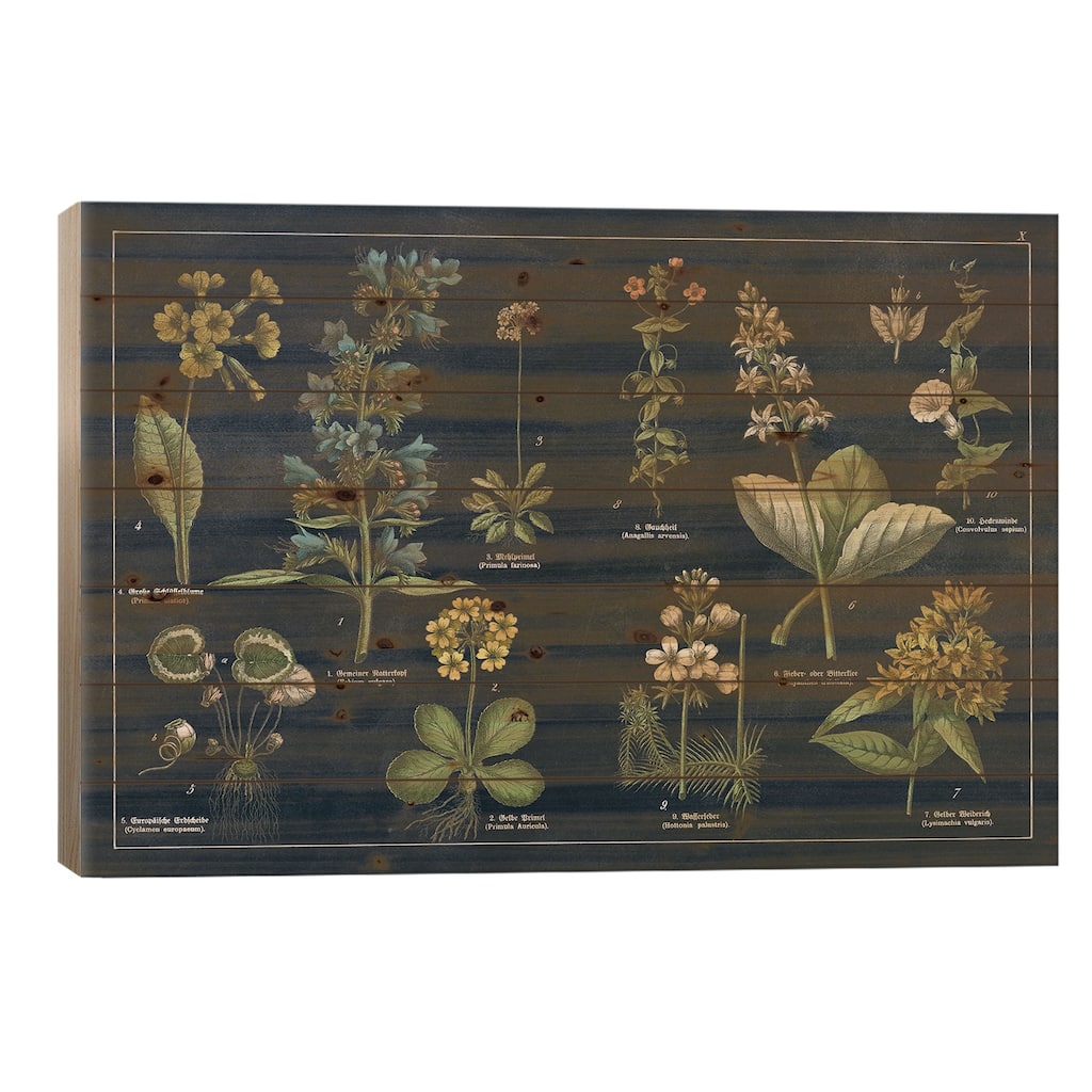 Botanical Floral Chart I Dark Blue Print On Wood by Wild Apple Portfolio - Multi-Color