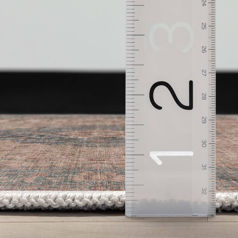 Well Woven Asha Odette Persian Oriental Vintage Area Rug