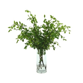 Organic Modern Nandina Arranged in Glass Vase - Green