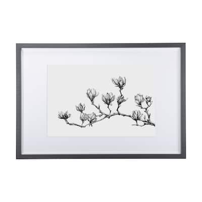 Magnolia II Framed Art Print