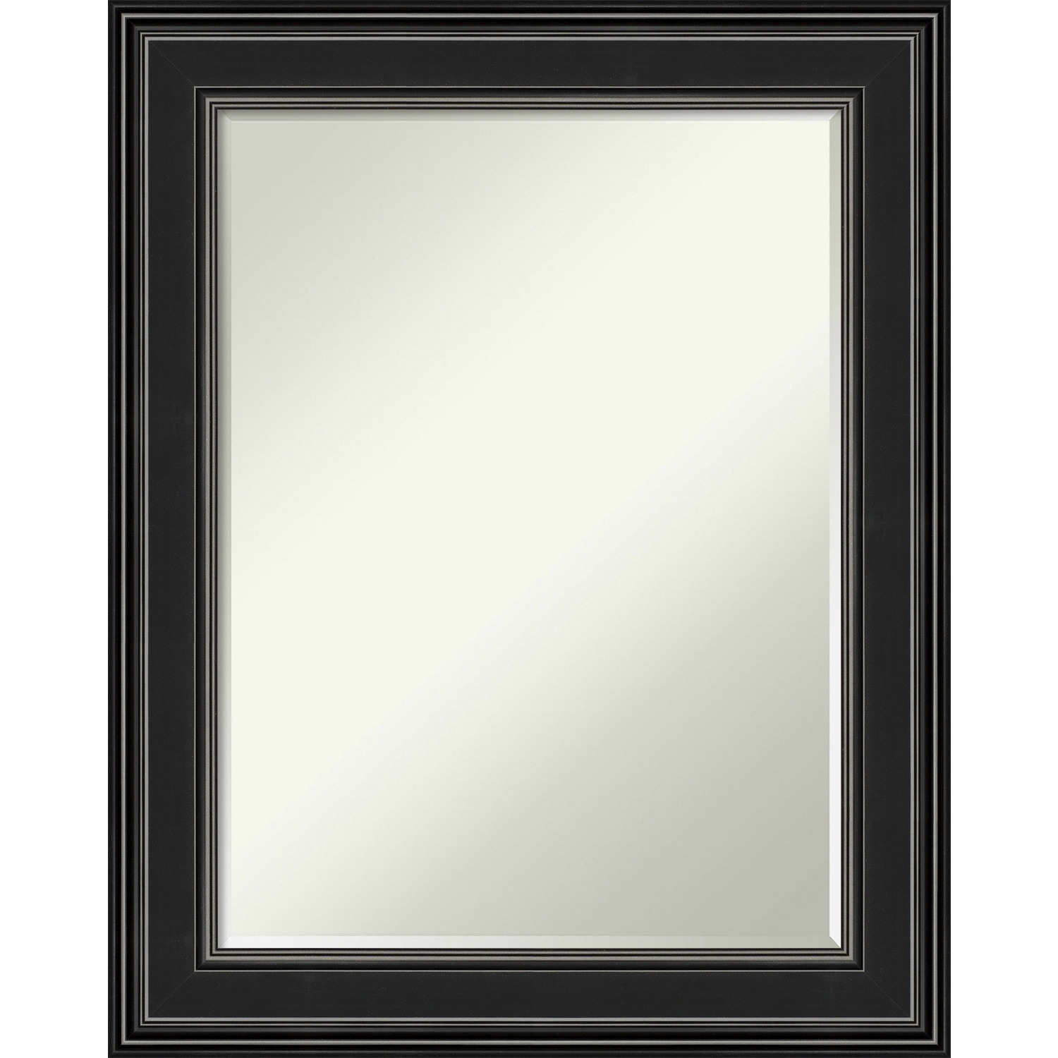Petite Bevel Wall Mirror - Ridge Black Frame - 24 x 30 in