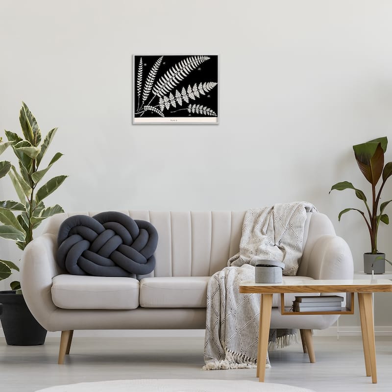 Stupell Fern Studies on Black Framed Giclee Art Design By Phillipa Katz