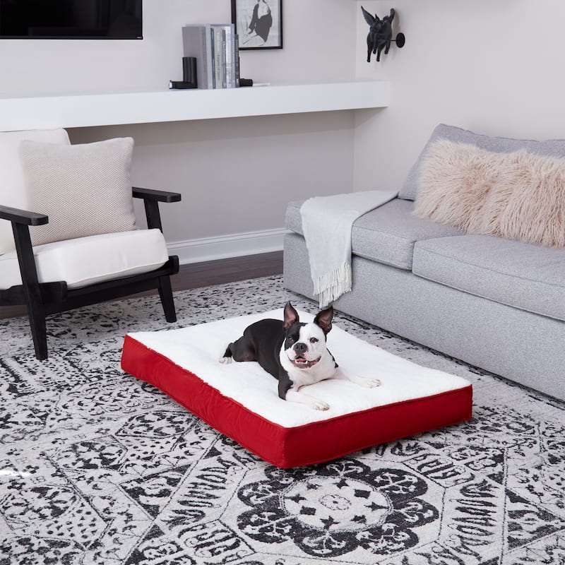 Daisy Deluxe Supportive Pillow Dog Bed