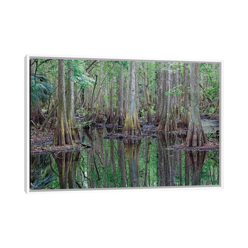 iCanvas "Bald Cypress Trees In Flooded Swamp, Highlands Hammock State Park, Florida" by Scott Leslie Framed Canvas Print - White - 18x26